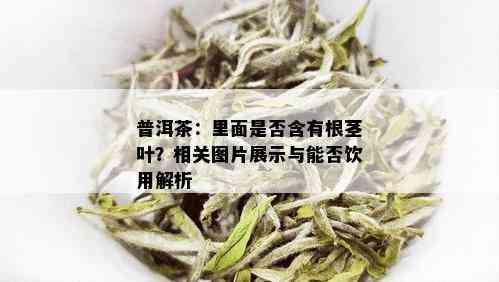 普洱茶：里面是否含有根茎叶？相关图片展示与能否饮用解析