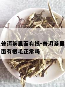 普洱茶里面有根-普洱茶里面有根毛正常吗