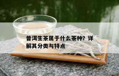 普洱生茶属于什么茶种？详解其分类与特点