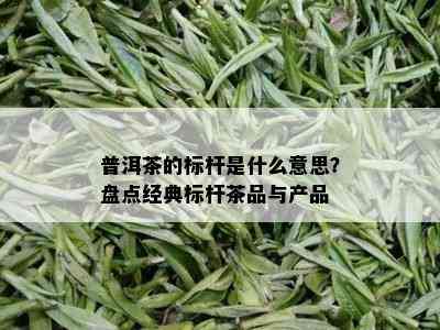 普洱茶的标杆是什么意思？盘点经典标杆茶品与产品