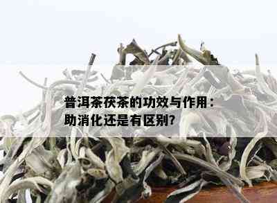 普洱茶茯茶的功效与作用：助消化还是有区别？