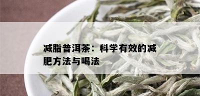 减脂普洱茶：科学有效的减肥方法与喝法