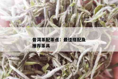 普洱茶配茶点：更佳搭配及推荐茶具