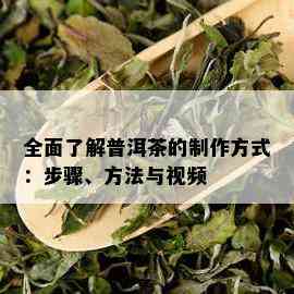 全面了解普洱茶的制作方式：步骤、方法与视频