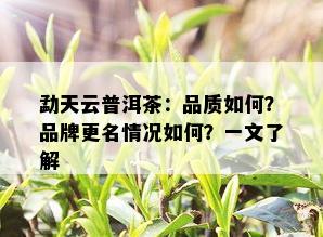 勐天云普洱茶：品质如何？品牌更名情况如何？一文了解