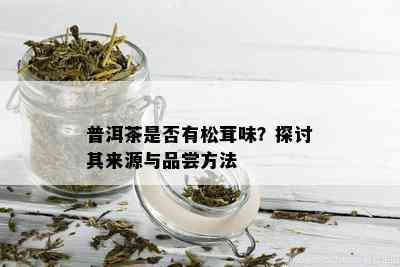 普洱茶是否有松茸味？探讨其来源与品尝方法