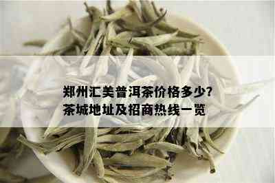 郑州汇美普洱茶价格多少？茶城地址及招商热线一览