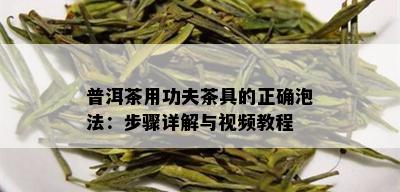 普洱茶用功夫茶具的正确泡法：步骤详解与视频教程