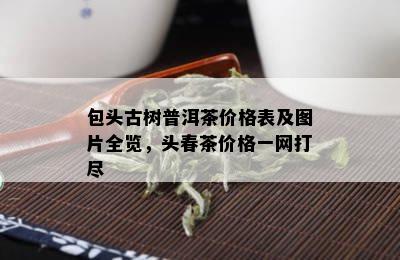 包头古树普洱茶价格表及图片全览，头春茶价格一网打尽