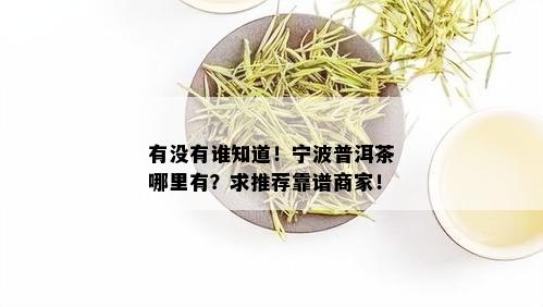 有没有谁知道！宁波普洱茶哪里有？求推荐靠谱商家！