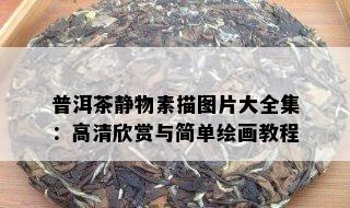 普洱茶静物素描图片大全集：高清欣赏与简单绘画教程