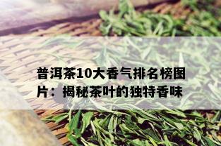 普洱茶10大香气排名榜图片：揭秘茶叶的独特香味