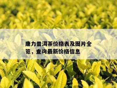 康力普洱茶价格表及图片全览，查询最新价格信息