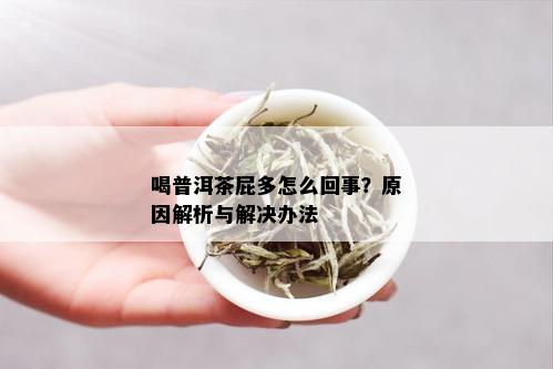 喝普洱茶屁多怎么回事？原因解析与解决办法