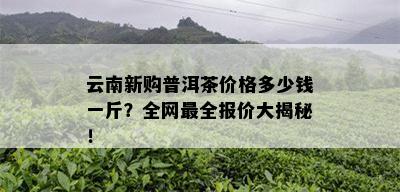 云南新购普洱茶价格多少钱一斤？全网最全报价大揭秘！