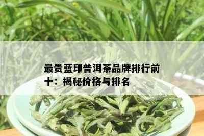 最贵蓝印普洱茶品牌排行前十：揭秘价格与排名