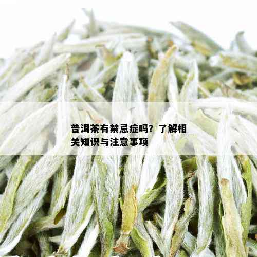 普洱茶有禁忌症吗？了解相关知识与注意事项