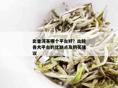 卖普洱茶哪个平台好？比较各大平台的优缺点及购买建议