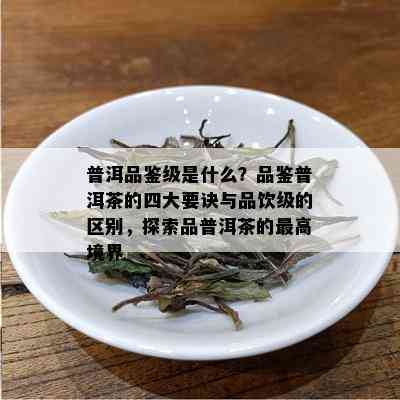 普洱品鉴级是什么？品鉴普洱茶的四大要诀与品饮级的区别，探索品普洱茶的更高境界