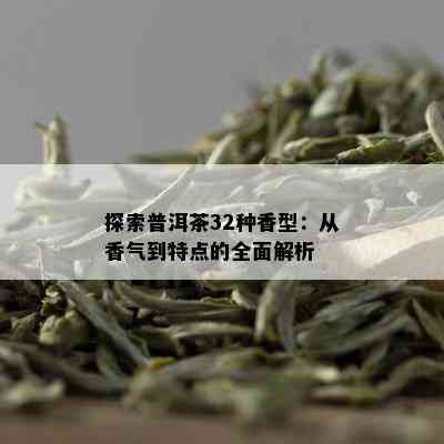 探索普洱茶32种香型：从香气到特点的全面解析