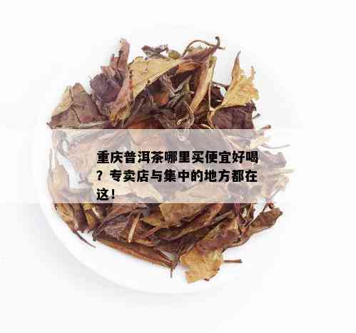 重庆普洱茶哪里买便宜好喝？专卖店与集中的地方都在这！