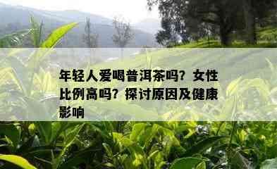 年轻人爱喝普洱茶吗？女性比例高吗？探讨原因及健康影响