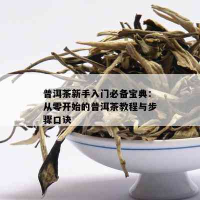 普洱茶新手入门必备宝典：从零开始的普洱茶教程与步骤口诀