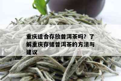 重庆适合存放普洱茶吗？了解重庆存储普洱茶的方法与建议