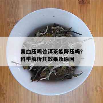 高血压喝普洱茶能降压吗？科学解析其效果及原因