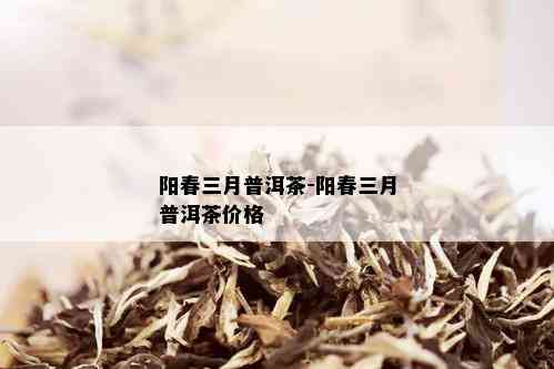 阳春三月普洱茶-阳春三月普洱茶价格