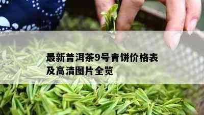 最新普洱茶9号青饼价格表及高清图片全览