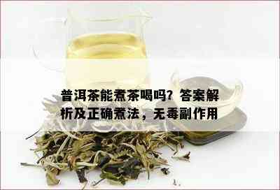 普洱茶能煮茶喝吗？答案解析及正确煮法，无副作用