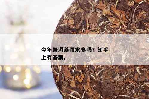 今年普洱茶雨水多吗？知乎上有答案。