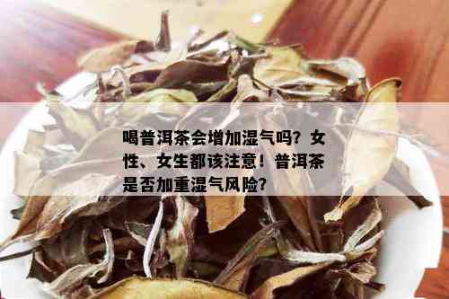 喝普洱茶会增加湿气吗？女性、女生都该注意！普洱茶是否加重湿气风险？