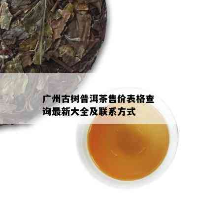 广州古树普洱茶售价表格查询最新大全及联系方式