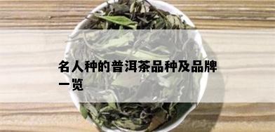 名人种的普洱茶品种及品牌一览