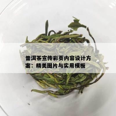 普洱茶宣传彩页内容设计方案：精美图片与实用模板