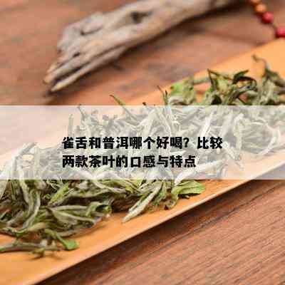 雀舌和普洱哪个好喝？比较两款茶叶的口感与特点