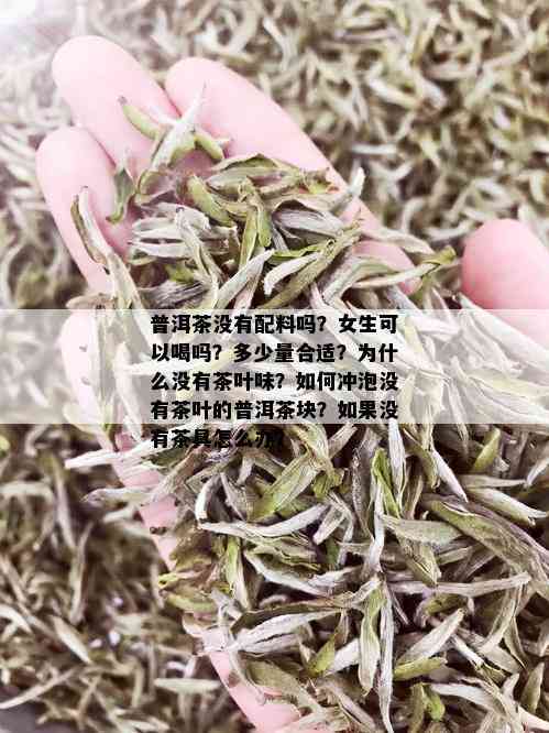 普洱茶没有配料吗？女生可以喝吗？多少量合适？为什么没有茶叶味？如何冲泡没有茶叶的普洱茶块？如果没有茶具怎么办？