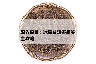 深入探索：冰岛普洱茶品鉴全攻略