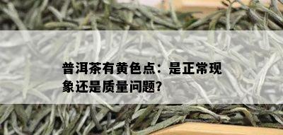 普洱茶有黄色点：是正常现象还是质量问题？