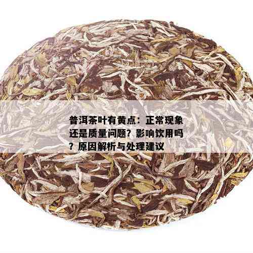 普洱茶叶有黄点：正常现象还是质量问题？影响饮用吗？原因解析与处理建议