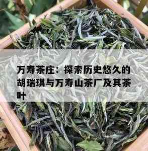 万寿茶庄：探索历史悠久的胡瑞琪与万寿山茶厂及其茶叶