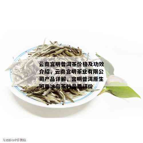 云南宫明普洱茶价格及功效介绍，云南宫明茶业有限公司产品详解，宫明普洱原生班章冰岛茶叶品质评价