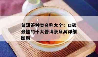 普洱茶种类名称大全：口碑更佳的十大普洱茶及其详细图解