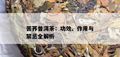 苦荞普洱茶：功效、作用与禁忌全解析