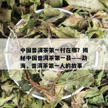 中国普洱茶之一村在哪？揭秘中国普洱茶之一县——勐海，普洱茶之一人的故事