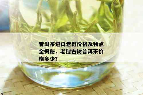 普洱茶进口老挝价格及特点全揭秘，老挝古树普洱茶价格多少？