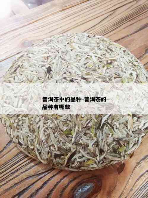 普洱茶中的品种-普洱茶的品种有哪些