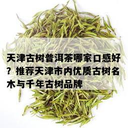 天津古树普洱茶哪家口感好？推荐天津市内优质古树名木与千年古树品牌